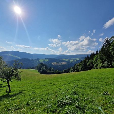 Turisticna Kmetija Ramsak Vila Zreče Exterior foto